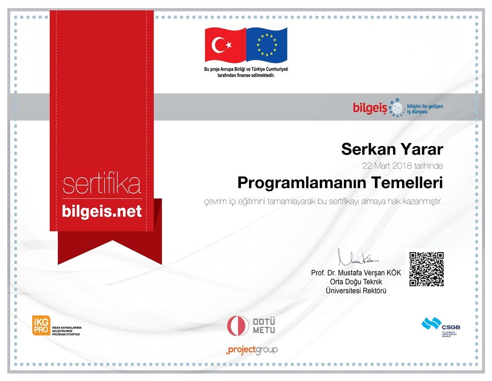 Programlamanın Temelleri